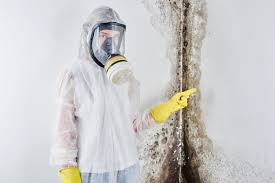 Best Mold Remediation for Healthcare Facilities  in Clermont, FL